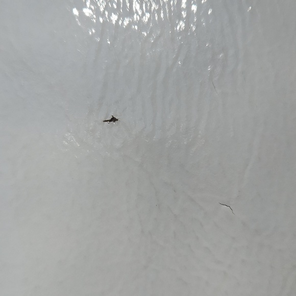 Michael Kors Patent Leather White and Gold Shoulder Tote - Picture 11 of 16